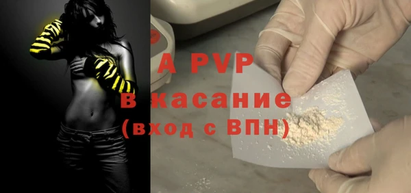 дмт Магас