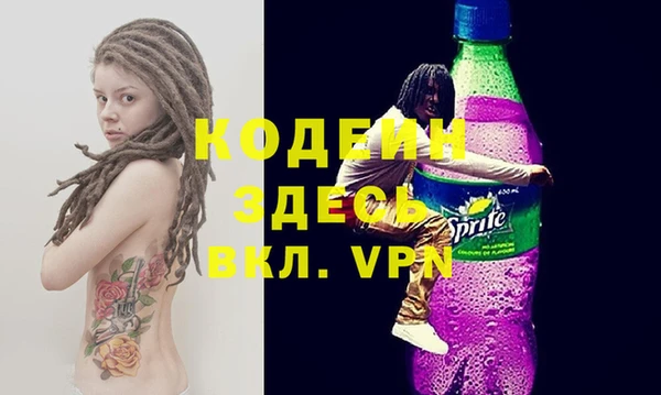 сатива Архангельск